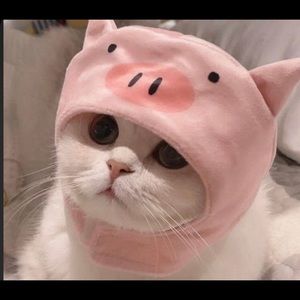 Meet your Posher, Fernanda